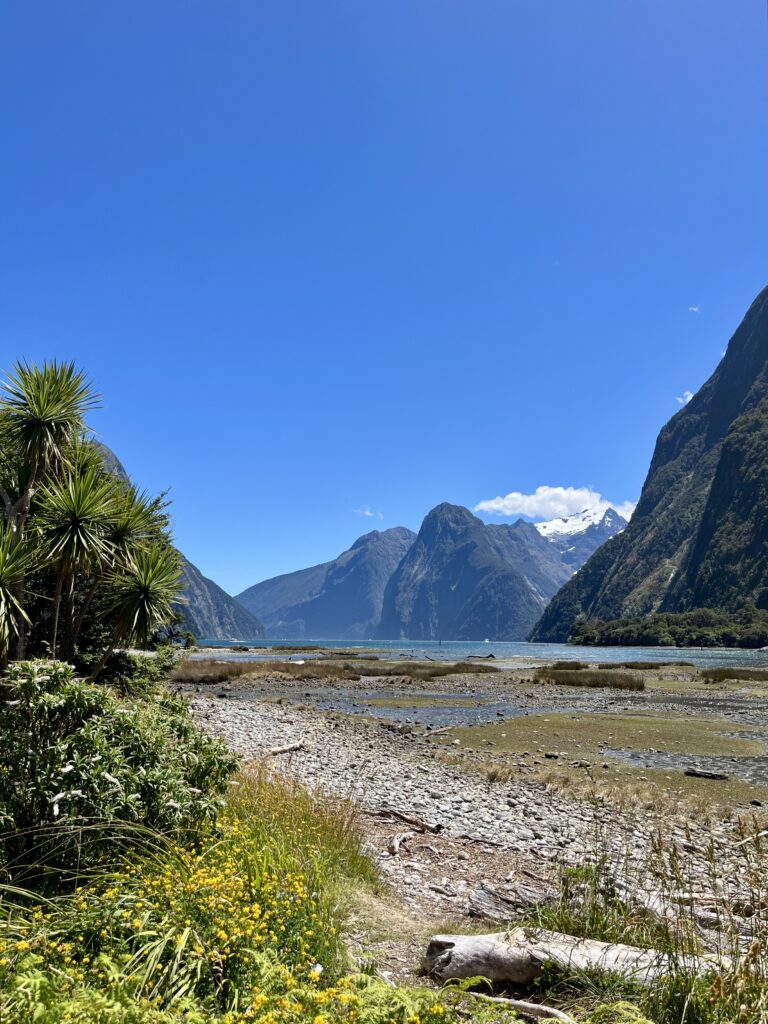 milford sound